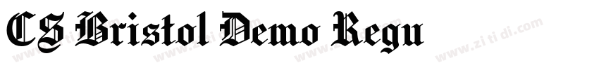 CS Bristol Demo Regu字体转换